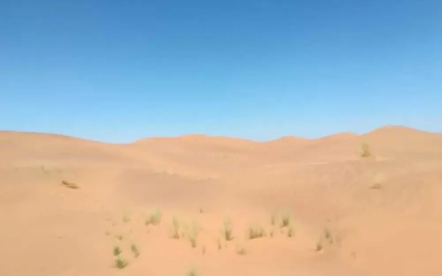 Bivouac Les Dunes De Tinfou