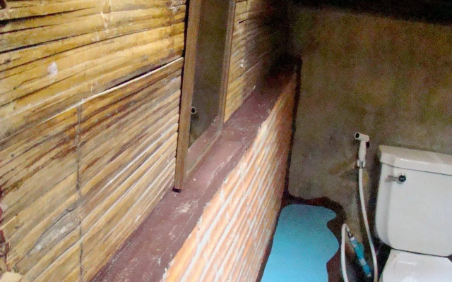 Re - Wild House