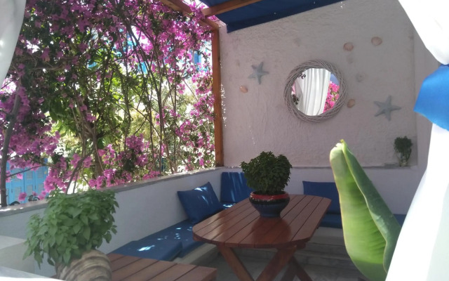 Doron Hotel Delfini