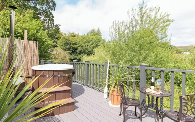 Red Kite at Wild Valley Huts