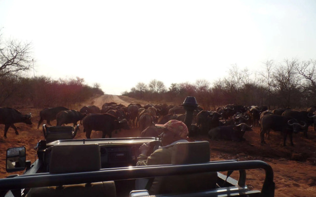 IsiLimela Game Lodge