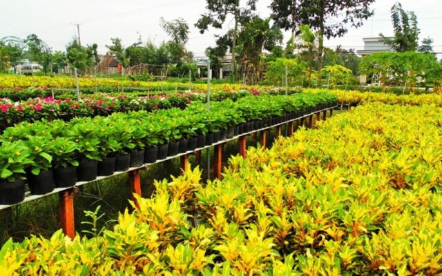 Flower Village Homestay