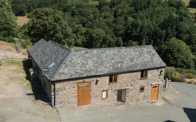 The Owl House