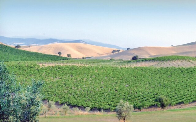 Il Fienile Selvaccia