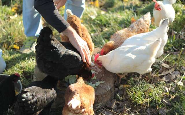 Chez Juliette Maison Gîte