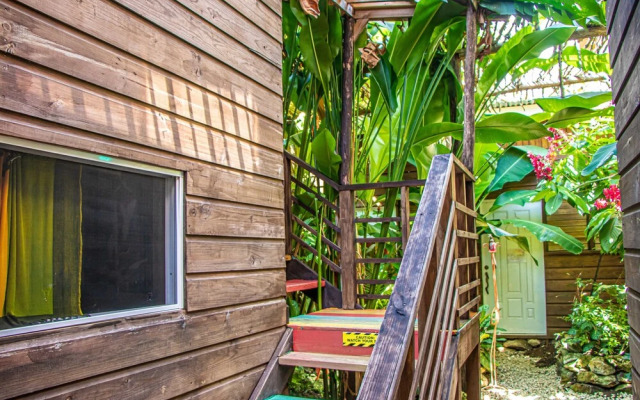 Wild Coffee Retreat - Adults Only