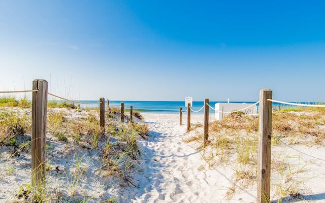 Driftwood Towers #1F - Palm View