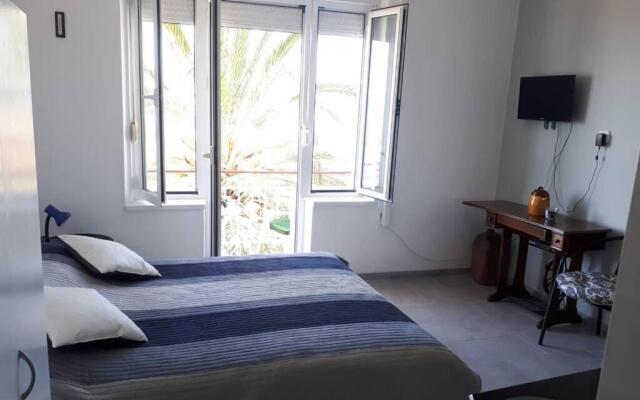 Palm tree studio, Podgora