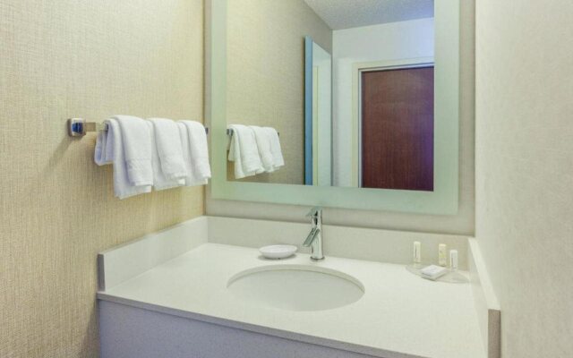 Springhill Suites Minneapolis St Louis Park by Marriott