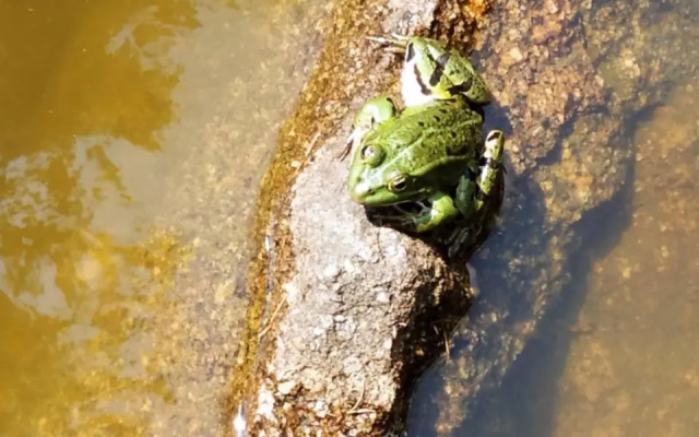 Re(S)Source (Adults Only)