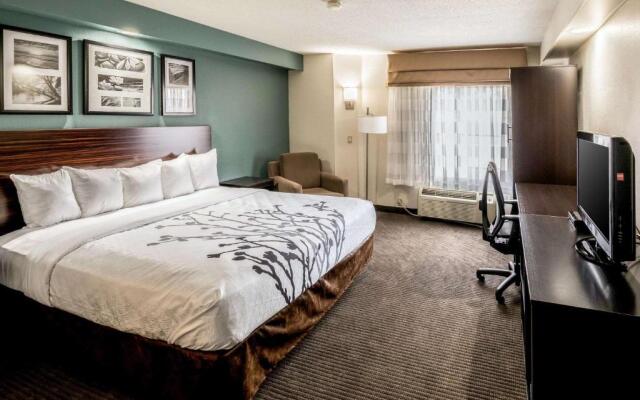 Spark by Hilton Augusta