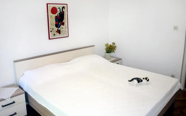 Apartments with a parking space Jelsa, Hvar - 8750