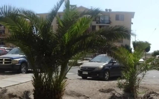 D11-4 Depto diario Arica