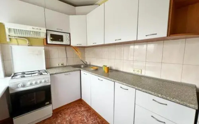 Apartments on Pechersk