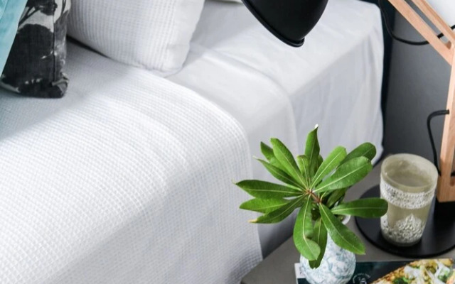 Pacific Dawn by Spicers