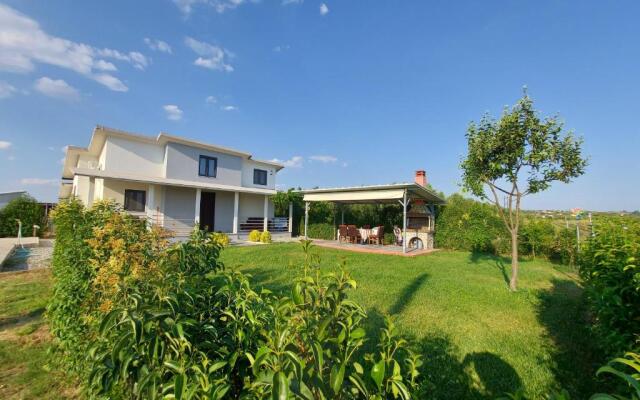 Lavender View Luxury House