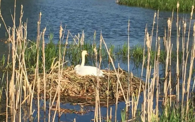 2 on the Estate - Mosch