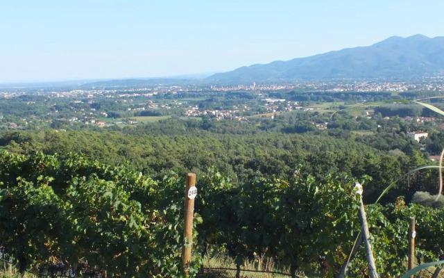 Villa Casetta