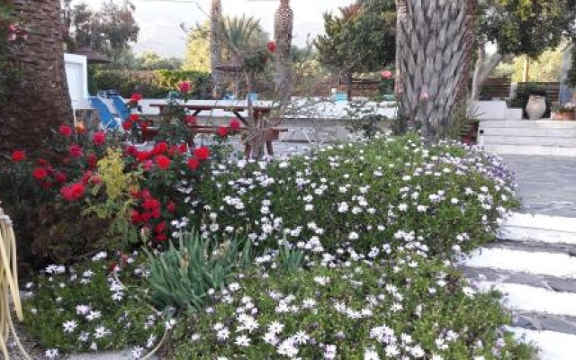 Oasis Apartments & Rooms