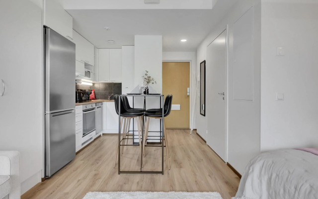 Apartment Scandinavia III