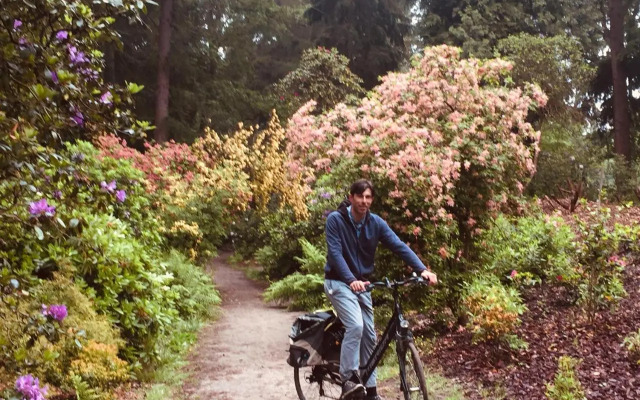 Art Bed and Breakfast