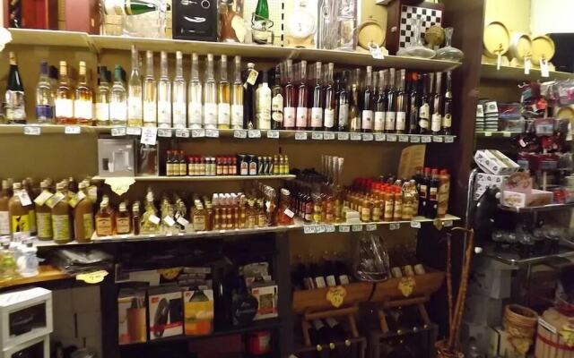 Pension Winzerhaus Haas Lenz Zell-Mosel