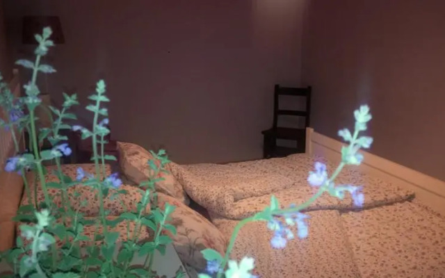 Ferienhaus Dietmar Schulz