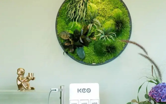 Hotel am Zoo GmbH & Co KG
