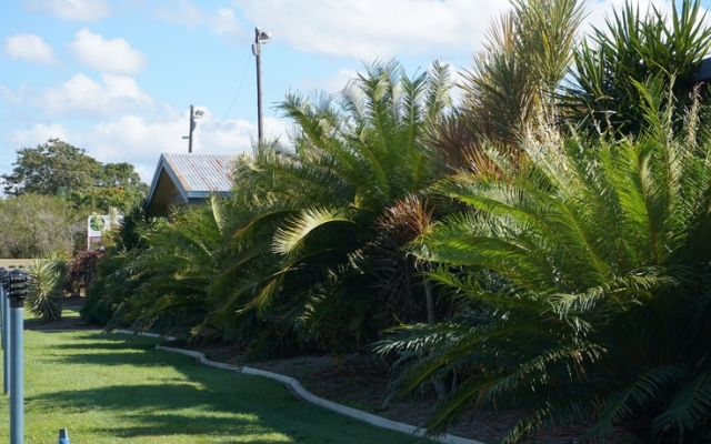 Tropicana Lodge