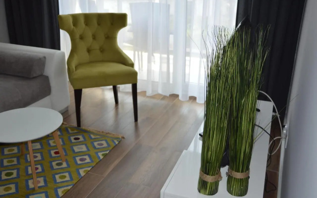 Dwie sosny i świerk