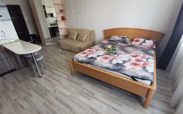 Апартаменты на улице Скульптора Головницкого 20а