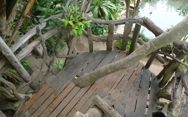 Pai Treehouse Resort