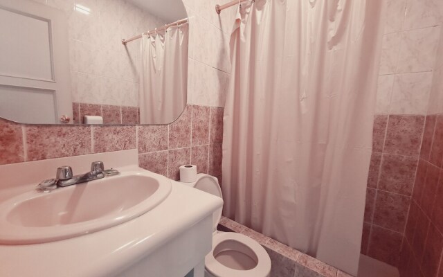 Hotel Chat Noir Cuenca