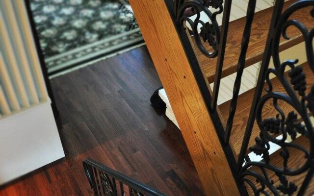 Forest Hill Bed & Breakfast