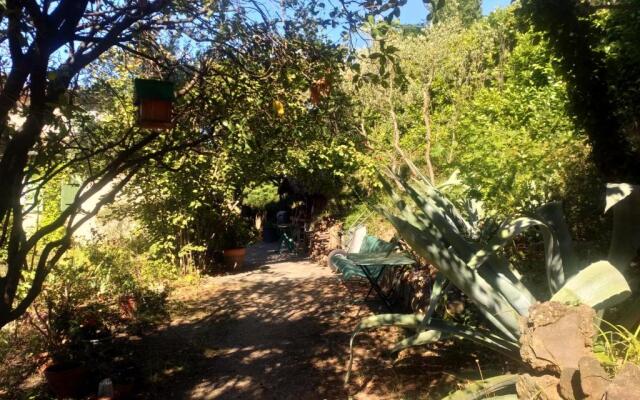 Les Jardins d'Arbousse