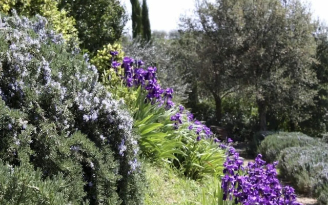 Verdidea - Podere della Bruciata