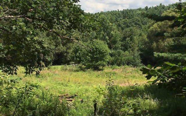 Tentrr - Honey Pot Farm Pond Paradise - Campsite