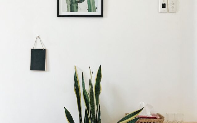 The Downtown Homestay