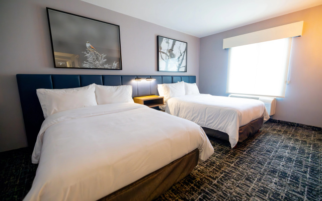 voco Saltillo Suites by IHG