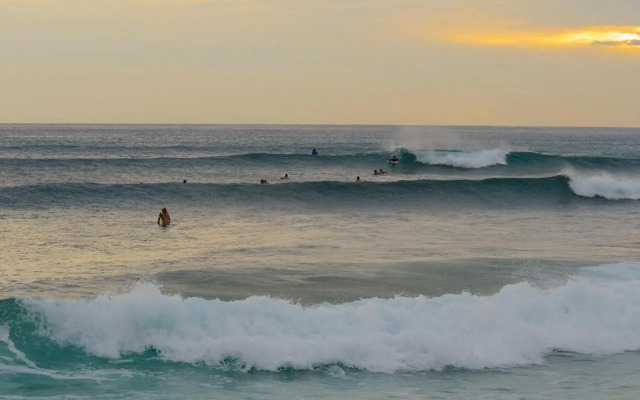 Seashore 62