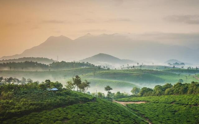 Grassroots Wayanad, Valley-view Tents