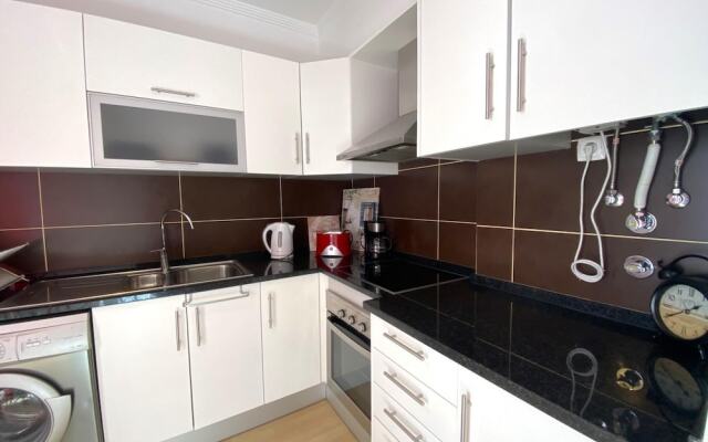 OLH O Stylish by Homing