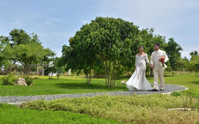 Bluewater Panglao Beach Resort