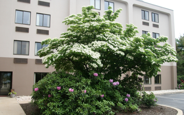 Hampton Inn Downingtown/Exton