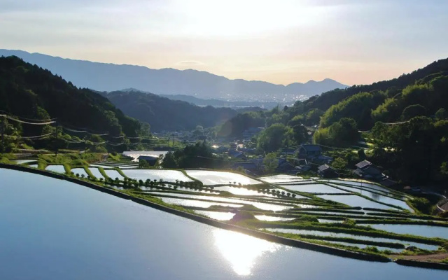The Kashihara – Outside – Kashihara