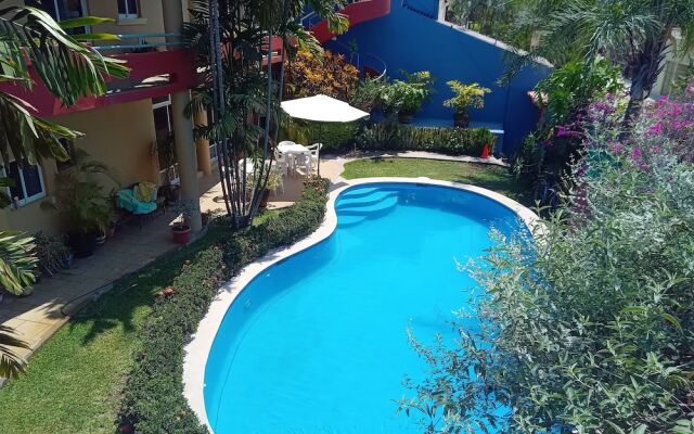 Casa Misifus