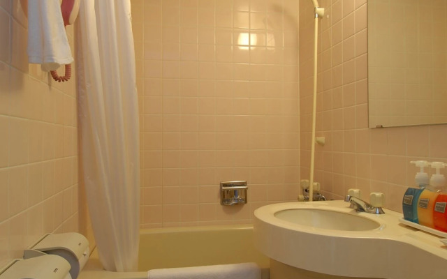 Matsumoto Wellton Hotel