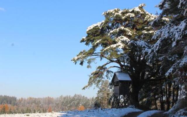 Oaza Mazurska - Willa Lasek