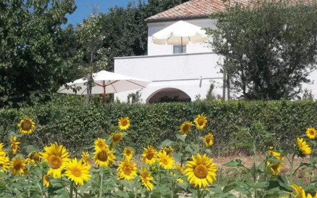 Casale Vega