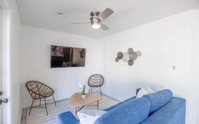 Exeter - Agave in Phoenix